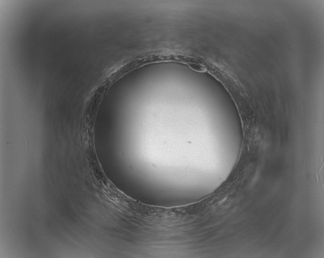 X0000072961207200607282247