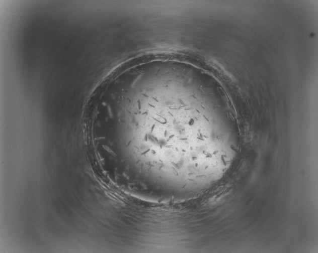 X0000072961208200607282247