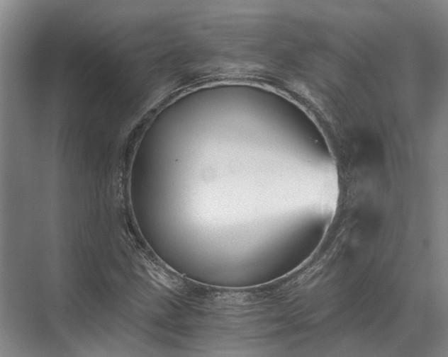 X0000072961211200607282247