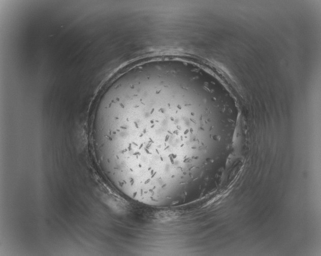 X0000072961212200607282247