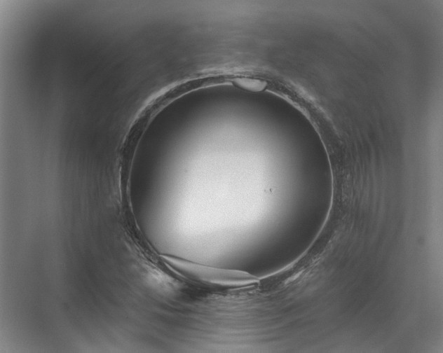 X0000072961214200607282247