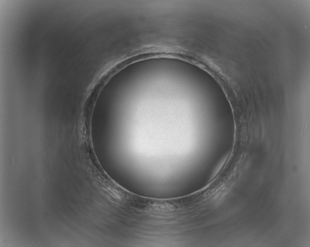 X0000072961215200607282247