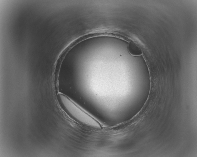 X0000072961216200607282247