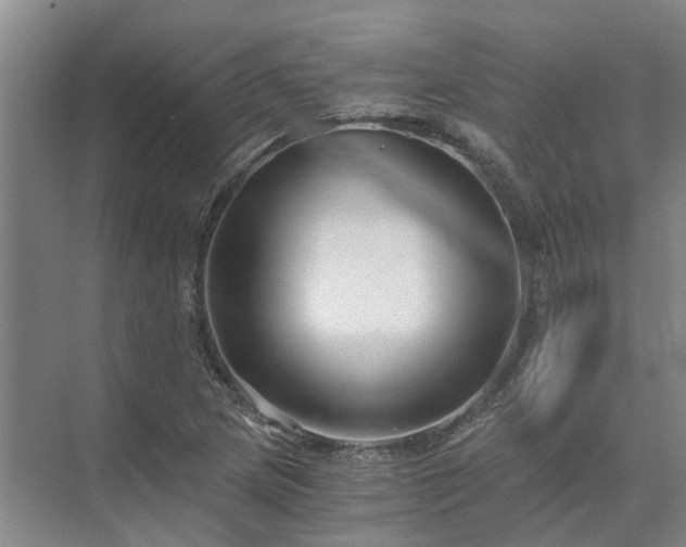 X0000072961217200607282247