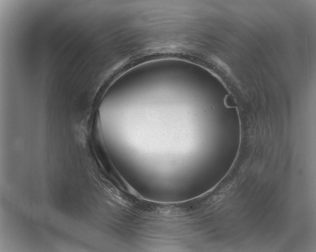 X0000072961218200607282247