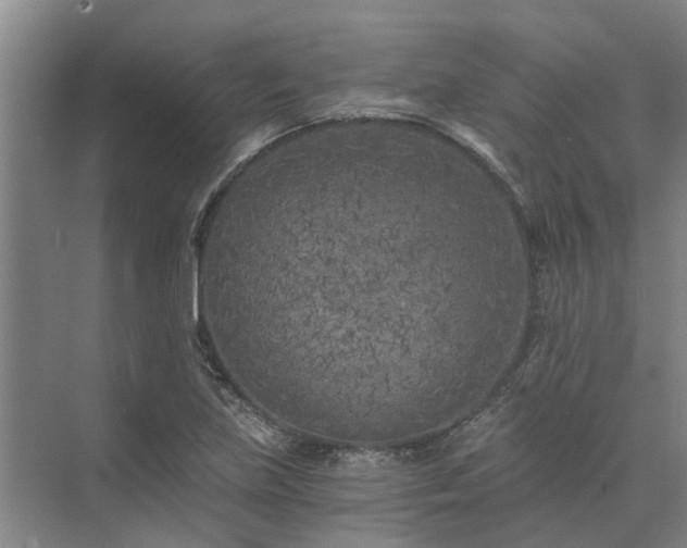 X0000072961219200607282247