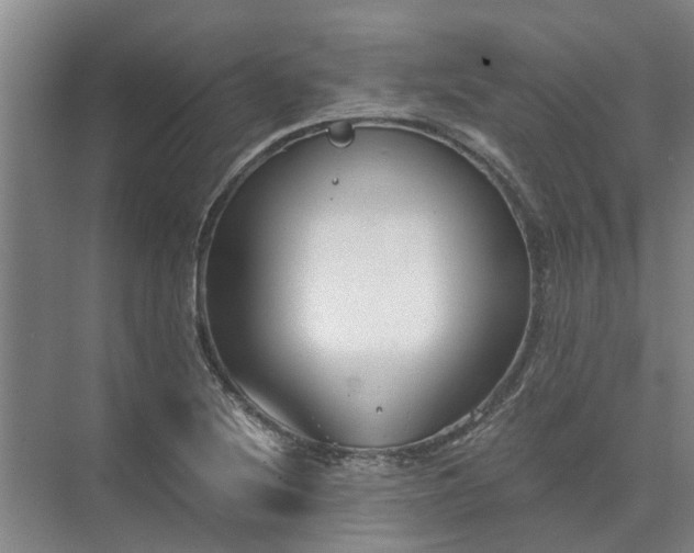 X0000072961220200607282247