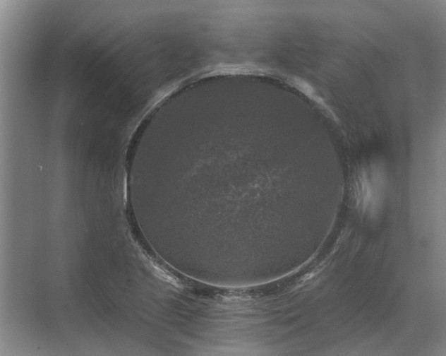 X0000072961221200607282247