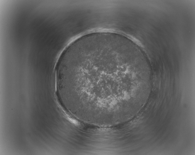 X0000072961223200607282247