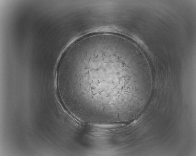 X0000072961224200607282247