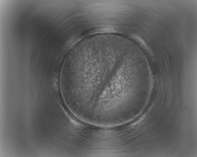 X0000072961225200607282247