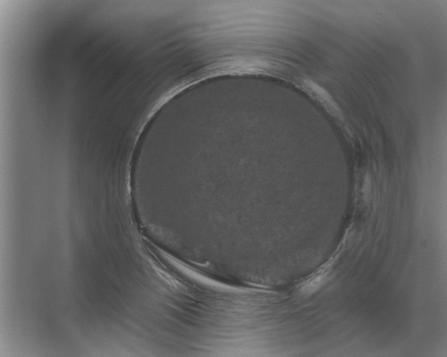 X0000072961226200607282247