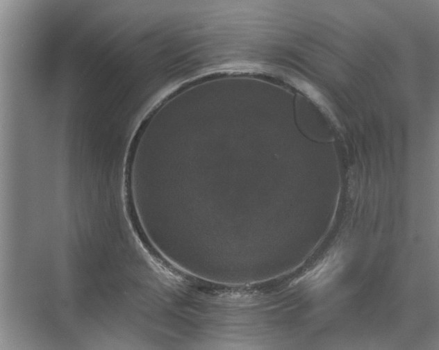 X0000072961229200607282247