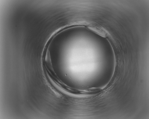 X0000072961230200607282247