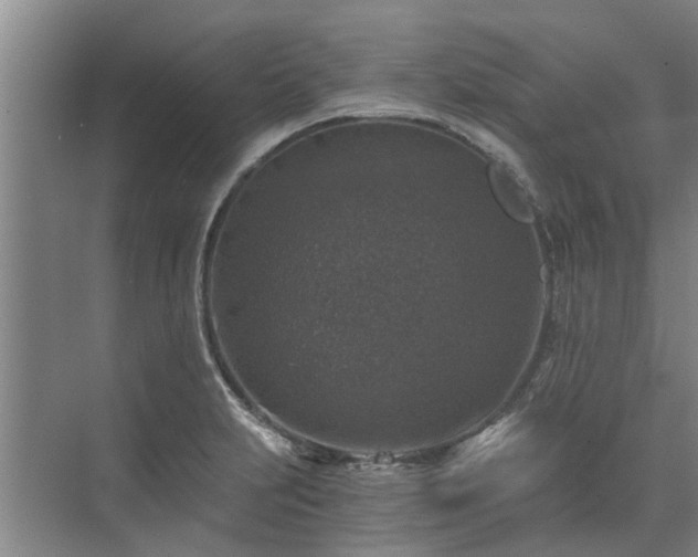 X0000072961231200607282247