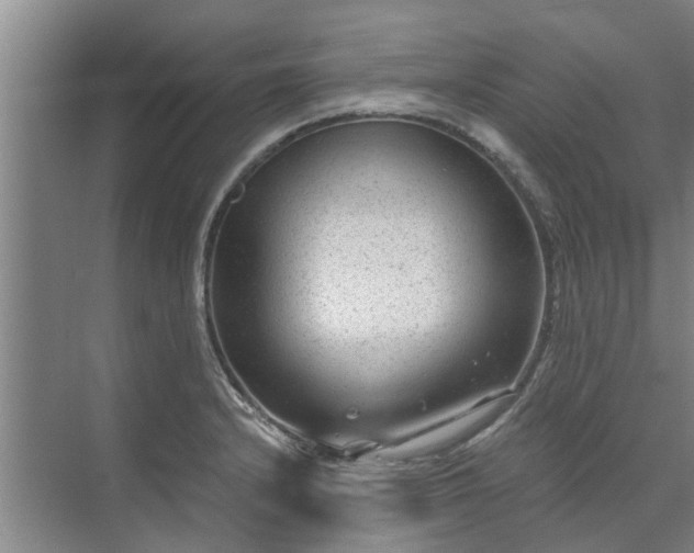 X0000072961232200607282247