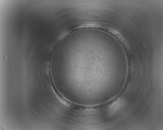 X0000072961233200607282247