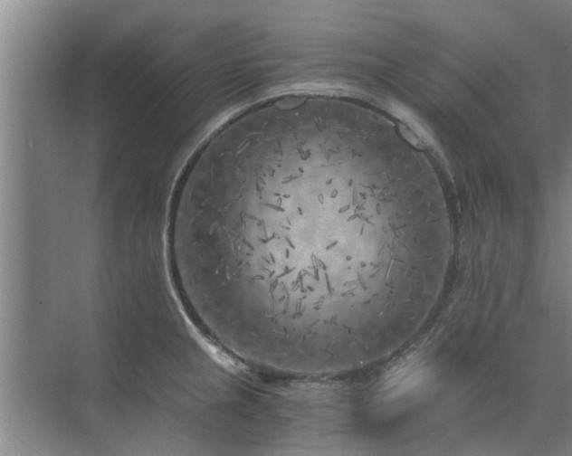 X0000072961237200607282247