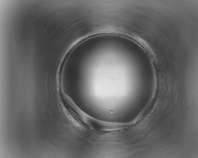 X0000072961238200607282247