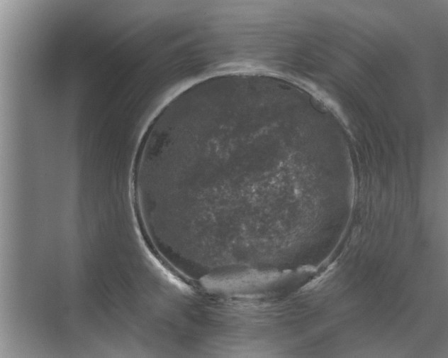 X0000072961239200607282247