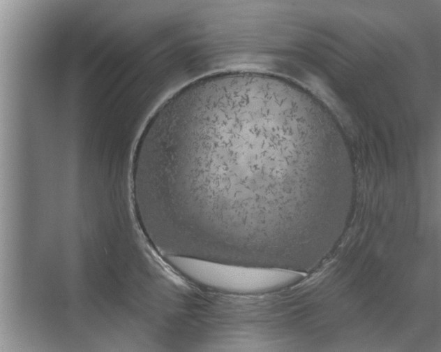 X0000072961240200607282247