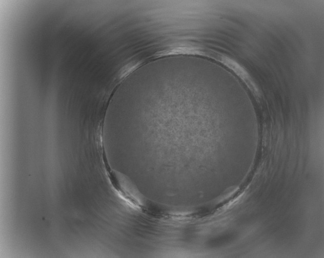 X0000072961241200607282247