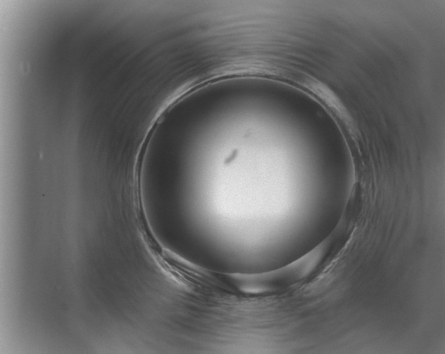 X0000072961242200607282247