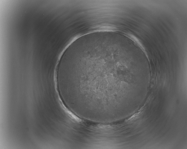 X0000072961243200607282248