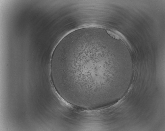 X0000072961244200607282248