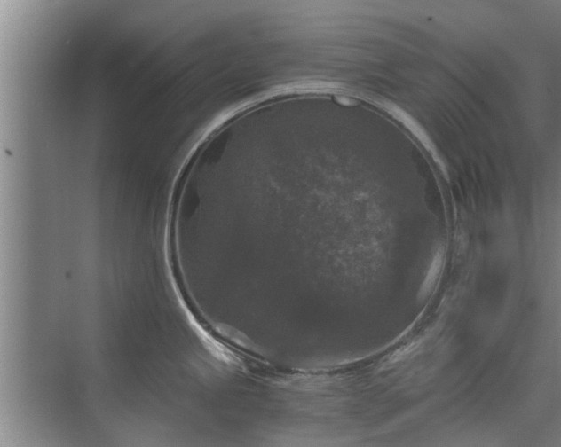 X0000072961245200607282248