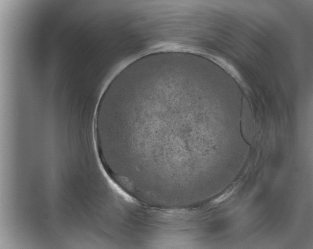 X0000072961247200607282248