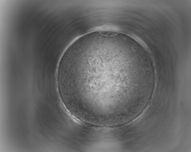 X0000072961248200607282248