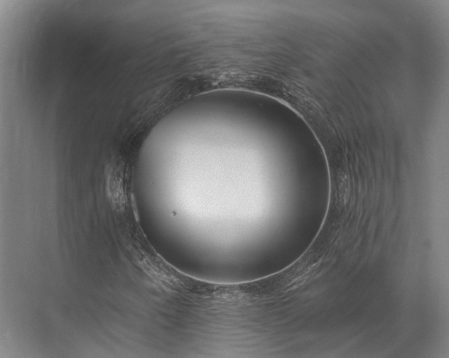 X0000072961250200607282247