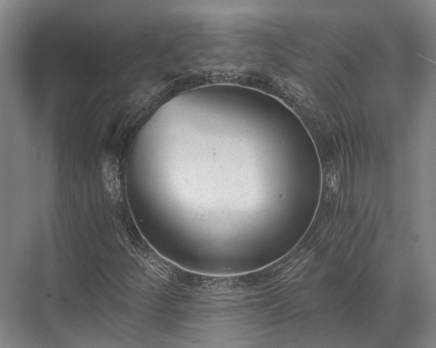 X0000072961252200607282247