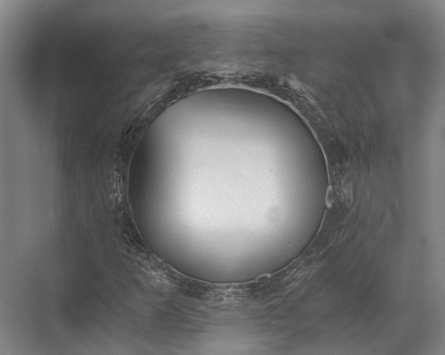 X0000072961253200607282247