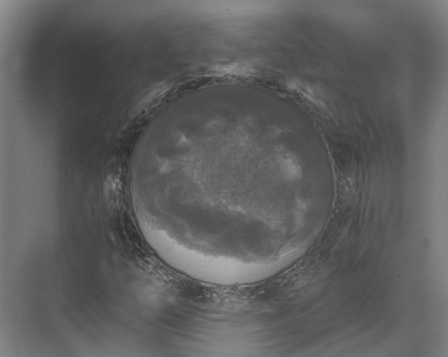 X0000072961254200607282247