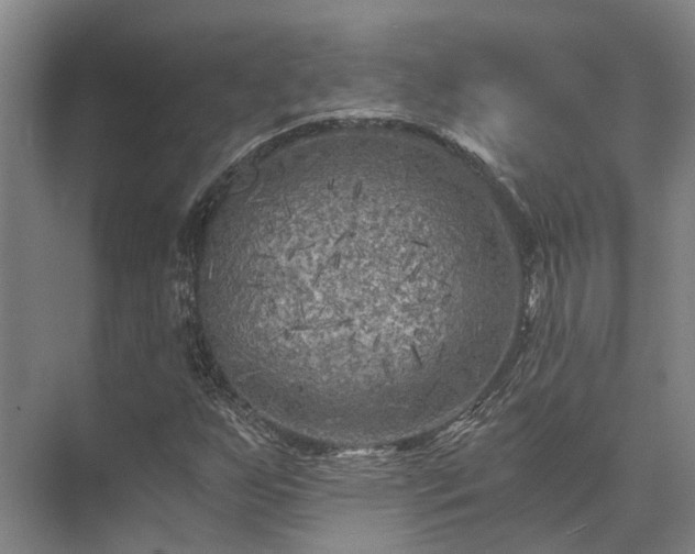 X0000072961255200607282247