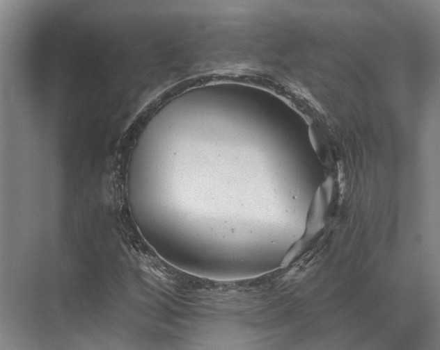 X0000072961256200607282247