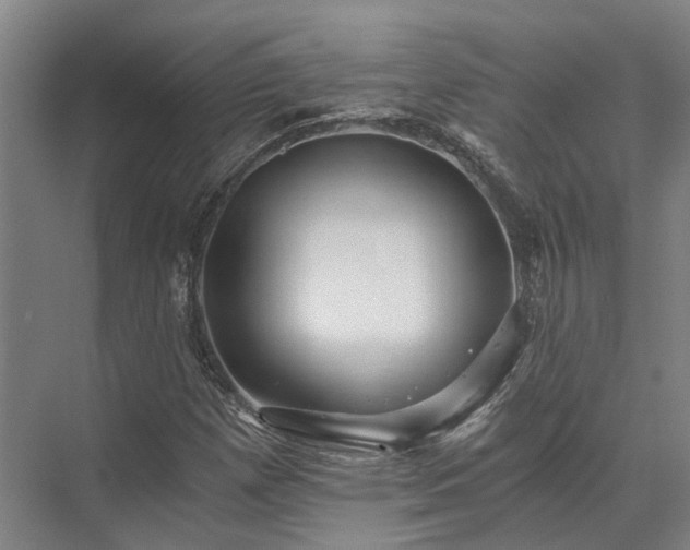 X0000072961257200607282247