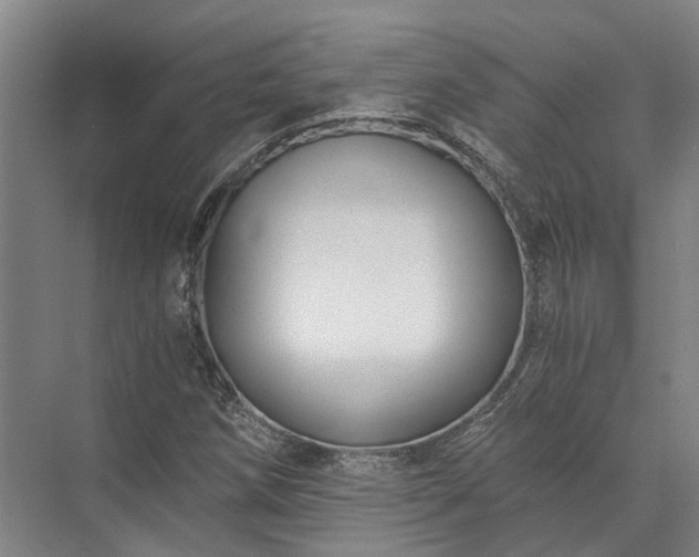 X0000072961258200607282247