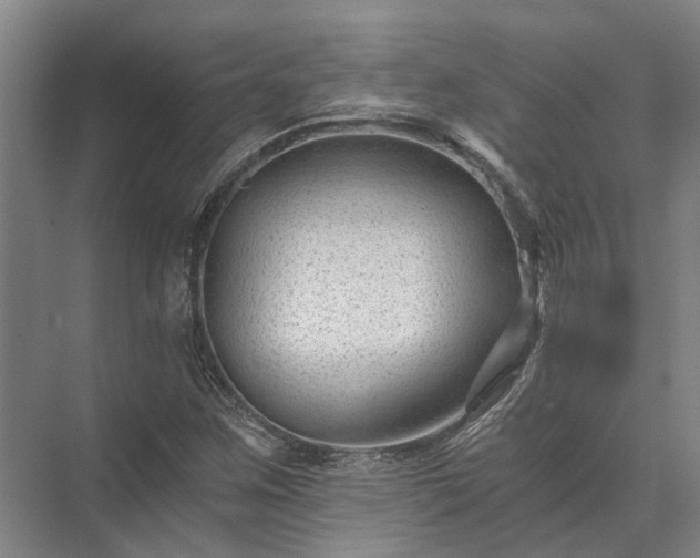 X0000072961259200607282247