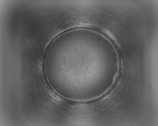 X0000072961260200607282247