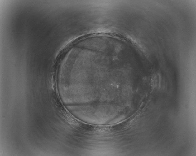 X0000072961262200607282247