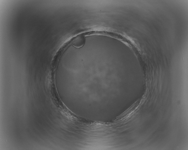 X0000072961263200607282247