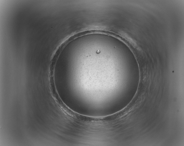 X0000072961264200607282247