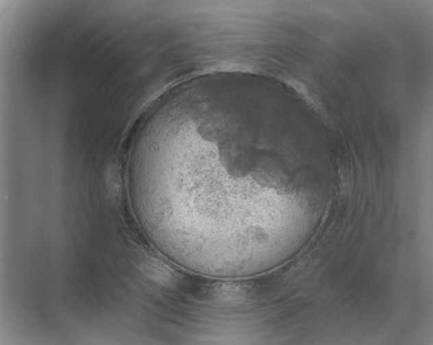 X0000072961266200607282247