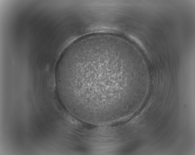 X0000072961267200607282246