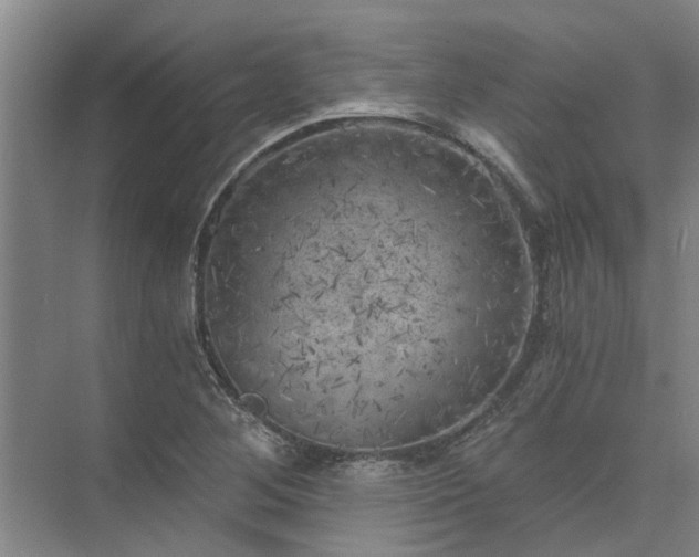 X0000072961268200607282246