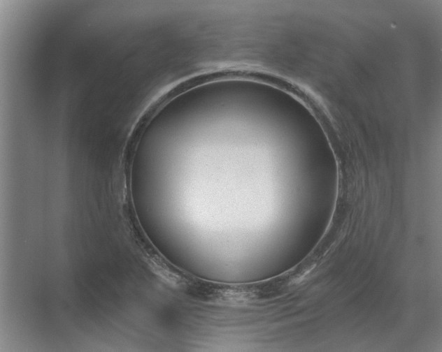 X0000072961271200607282246