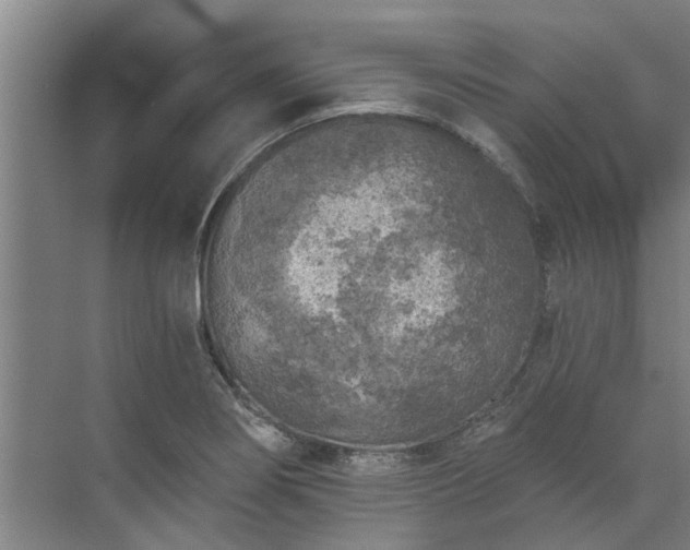 X0000072961274200607282246